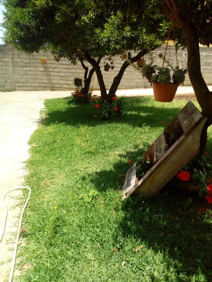 B&B Villa Del Sole Gizzeria Ngoại thất bức ảnh