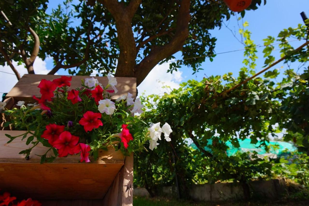 B&B Villa Del Sole Gizzeria Ngoại thất bức ảnh